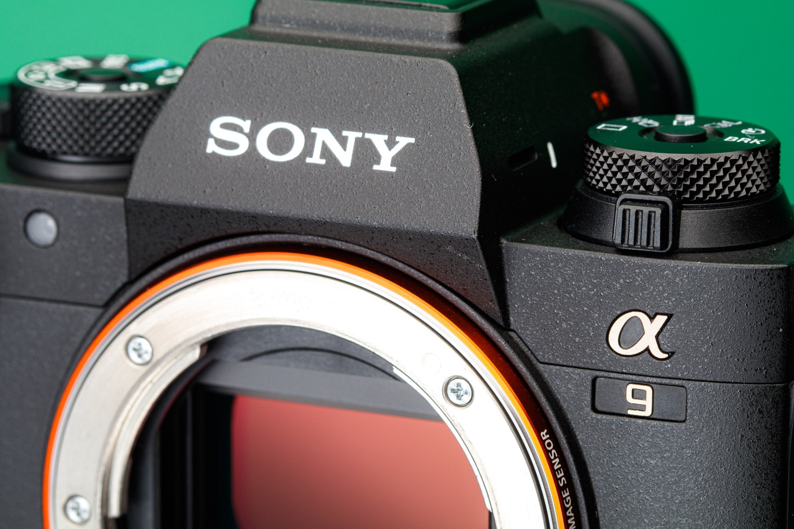 Sony-a9-II-beauty-01.jpeg